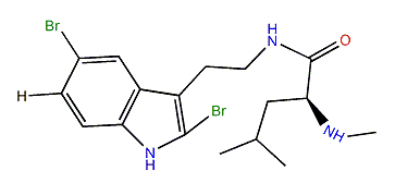 Alternatamide C